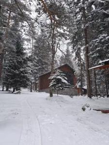 Villa Arkhyz-Gold - 16