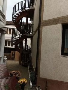 Атмосфера на Толстого - 45