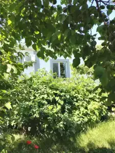 Усадьба у Люси - 2