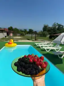 Фазенда - 4