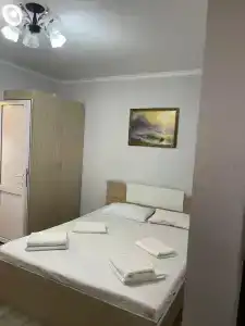 Пальмовая гавань - 0