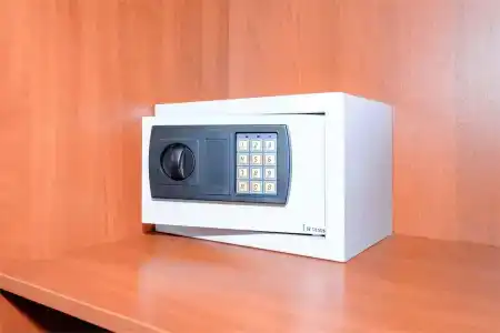 Фидель - 31