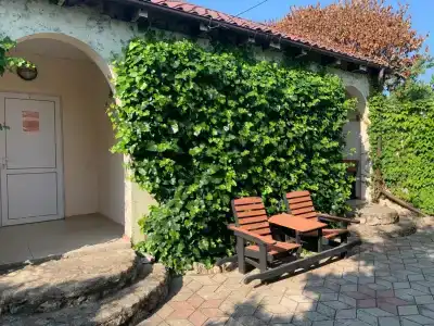 Веселые медузы - 5