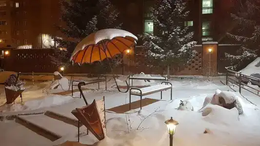 Семь пятниц - 1