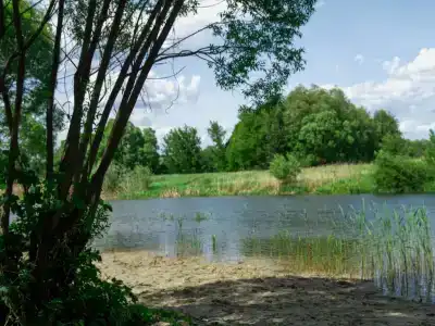 Riverland - 27