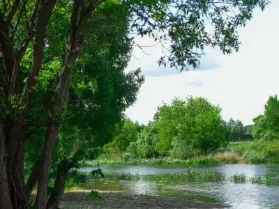 Riverland - 28
