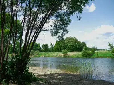 Riverland - 39