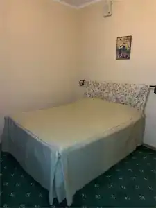 Березки - 21