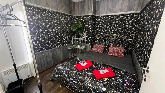 Типичный Питер на Загородном - 19