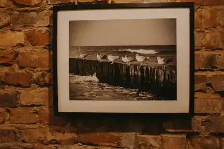 Tolstoy Art House - 13