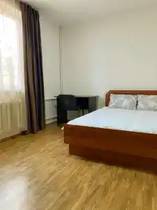 Cats Beds - 55