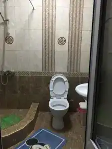 Голландия - 15
