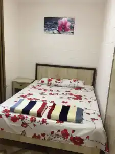 Голландия - 18