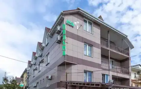 Пальма - 0
