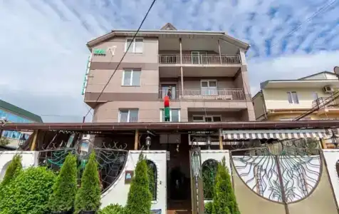 Пальма - 1