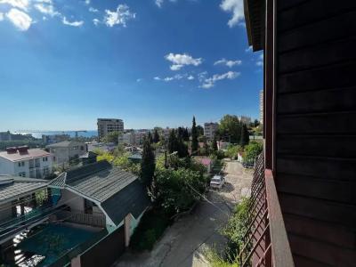 Виола - 65