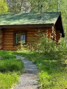 Берлога - 146