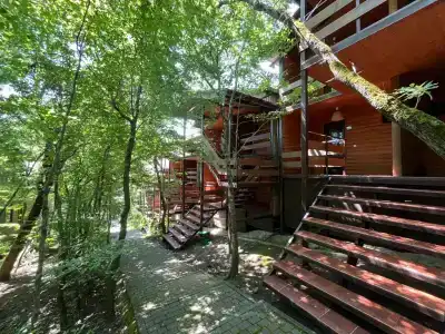 Виктория Инал Бэй - 19