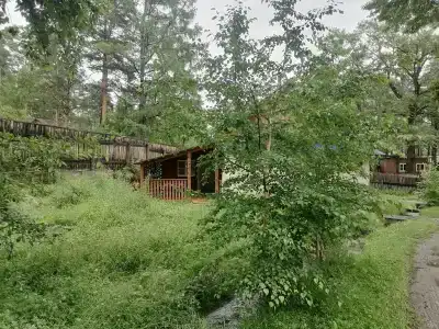 Жемчужина у ручья - 51