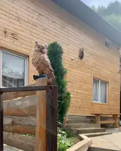 Дом совы - 2