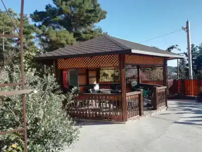 Солар - 13