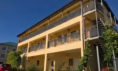 Лемур - 1