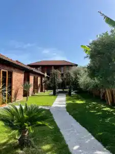 Loft Garden - 15