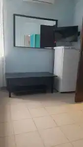 Тюльпан - 20