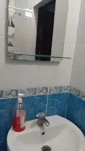 Тюльпан - 21