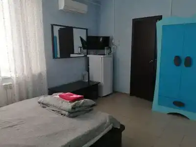 Тюльпан - 24