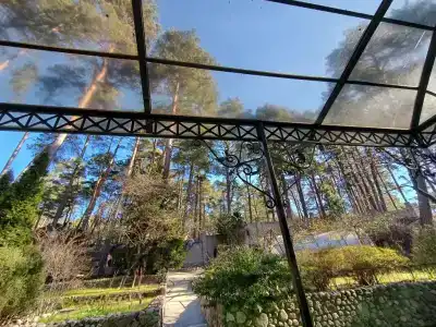 Дом Дракона - 6