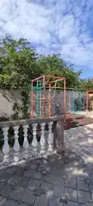 Вишня - 2
