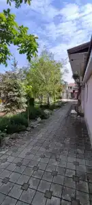 Вишня - 6