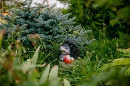 Осетрово - 8