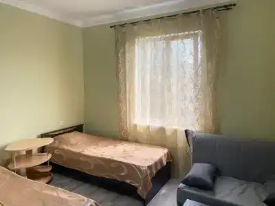 Кипарис - 22