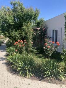 VillaPetra - 0