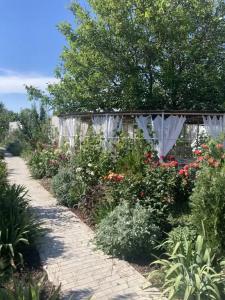 VillaPetra - 2