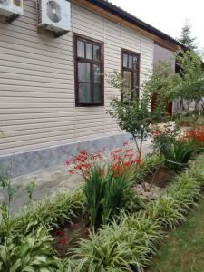 Бриз - 27