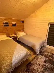 Кипарис - 17