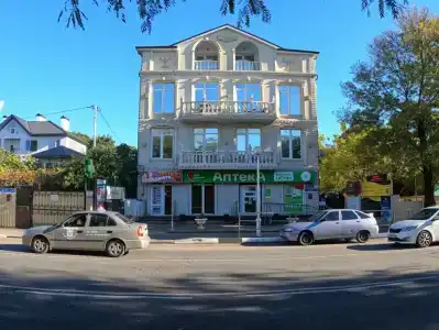 Арина - 4