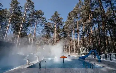 Хвоя - 1