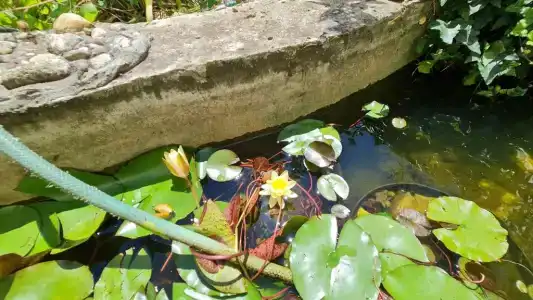 Сказочный Уикенд - 32