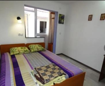 Южный дворик - 58