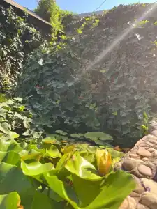 Сказочный Уикенд - 64