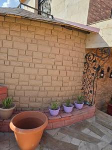 Exclusive Wine & Gastro Yard - 9