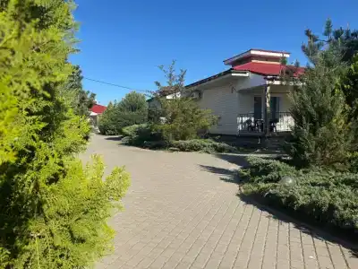 Виолис - 2