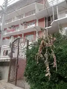 Пальма - 2
