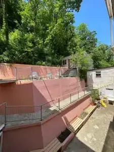 Пальма - 5
