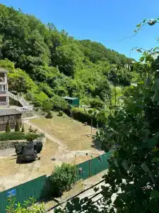 Пальма - 9