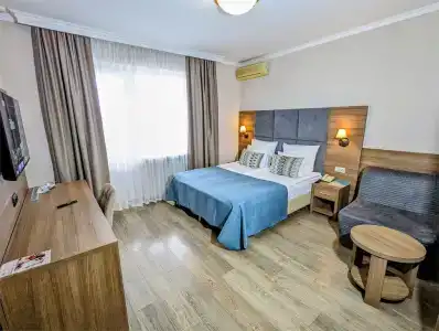 Роза Ветров - 12